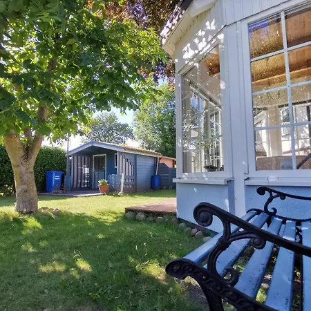 Rotbuche - Mitten In Zingst, Ruhig Gelegen Feriehus Zingst